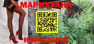 крисы Будённовск